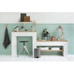 Brabantia pedaalemmer newIcon 5 ltr - platina